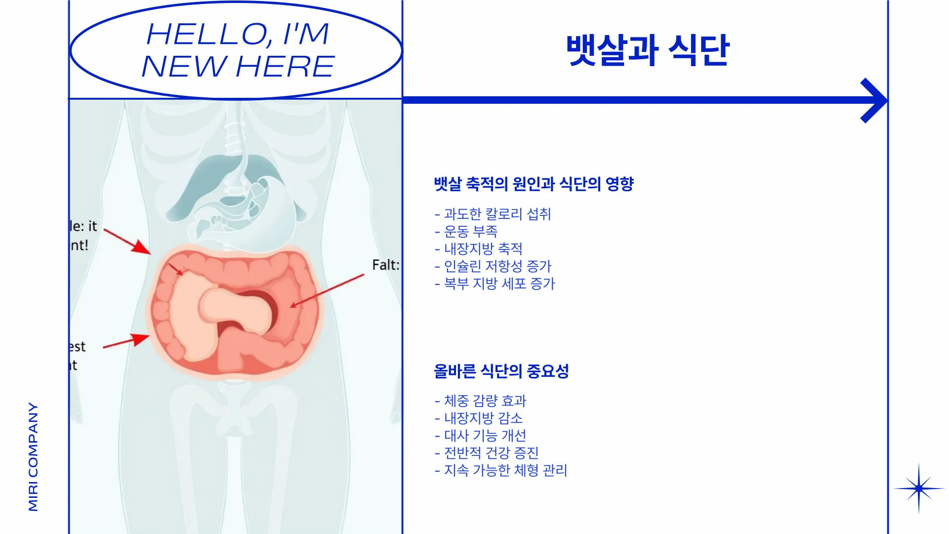 뱃살 빼는 식단 이미지 3