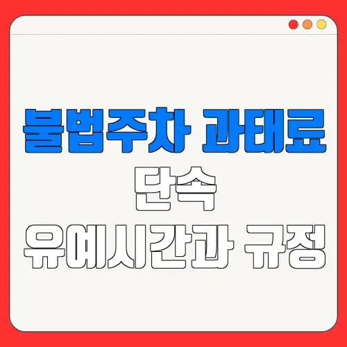 불법주차 과태료단속유예시간과 규정
