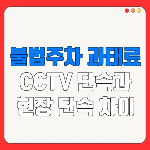 불법주차 과태료CCTV 단속과현장 단속 차이