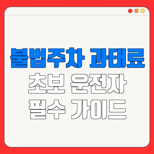 불법주차 과태료초보 운전자필수 가이드