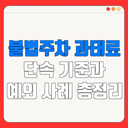 불법주차 과태료단속 기준과예외 사례 총정리