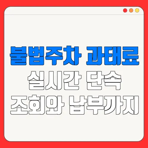 불법주차 과태료실시간 단속조회와 납부까지