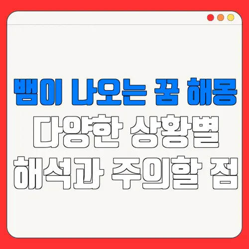 뱀이 나오는 꿈 해몽다양한 상황별해석과 주의할 점
