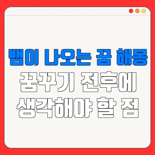 뱀이 나오는 꿈 해몽꿈꾸기 전후에생각해야 할 점