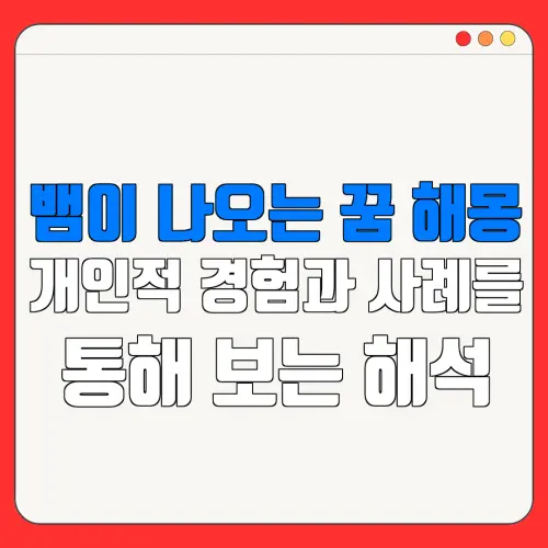 뱀이 나오는 꿈 해몽개인적 경험과 사례를통해 보는 해석