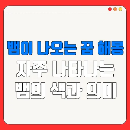 뱀이 나오는 꿈 해몽자주 나타나는뱀의 색과 의미