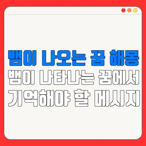 뱀이 나오는 꿈 해몽뱀이 나타나는 꿈에서기억해야 할 메시지