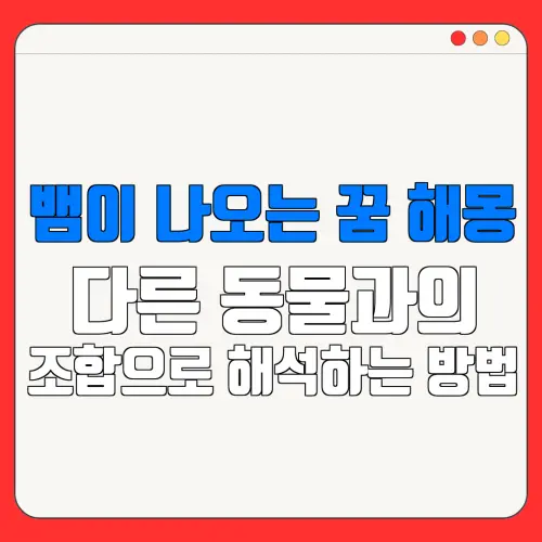 뱀이 나오는 꿈 해몽다른 동물과의조합으로 해석하는 방법