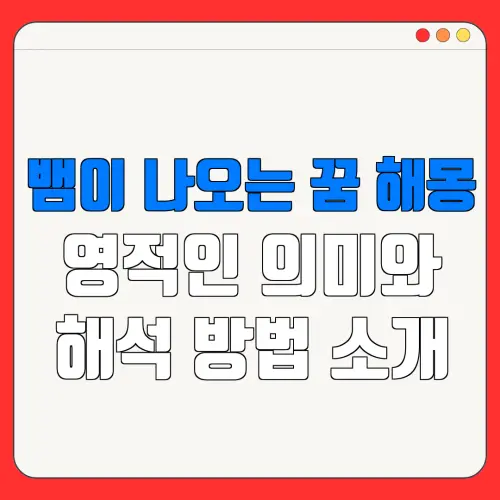 뱀이 나오는 꿈 해몽영적인 의미와해석 방법 소개